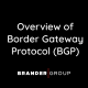Overview of Border Gateway Protocol (BGP)