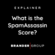 What is the SpamAssassin Score?