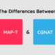 MAP-T vs. CGNAT: IPv4 Address Translation