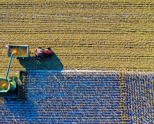 Minnesota’s Broadband Expansion: Local Farms to Statewide Fiber