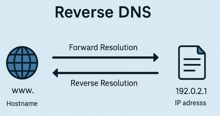 Reverse DNS rDNS Explained