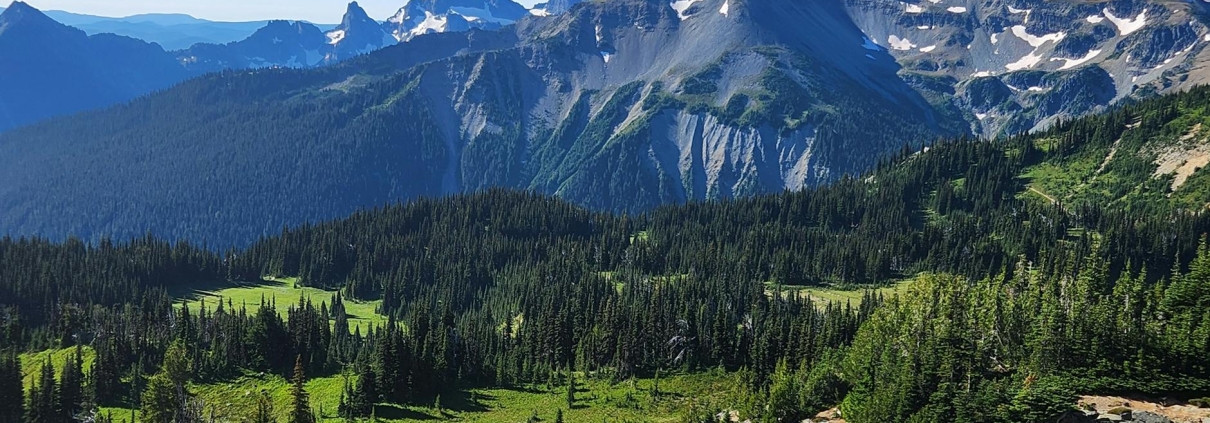 Fiber Construction Expands in Washington State With New Builds