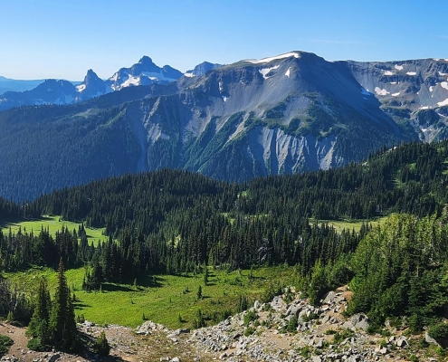 Fiber Construction Expands in Washington State With New Builds